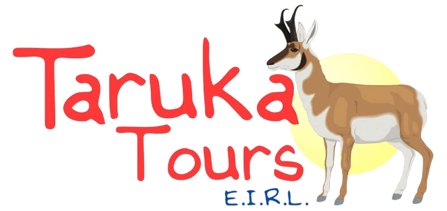Taruka Tours